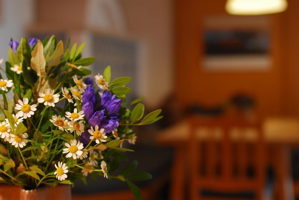 Alpenlodge Pfronten Dış mekan fotoğraf